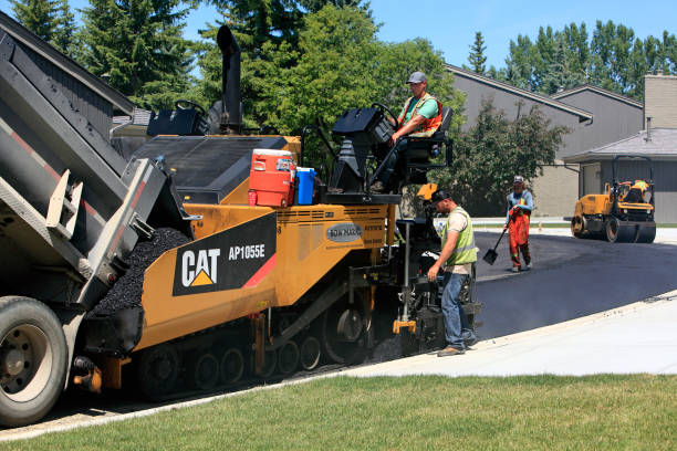 Best Cobblestone Driveway Pavers  in Bloomingdale, FL